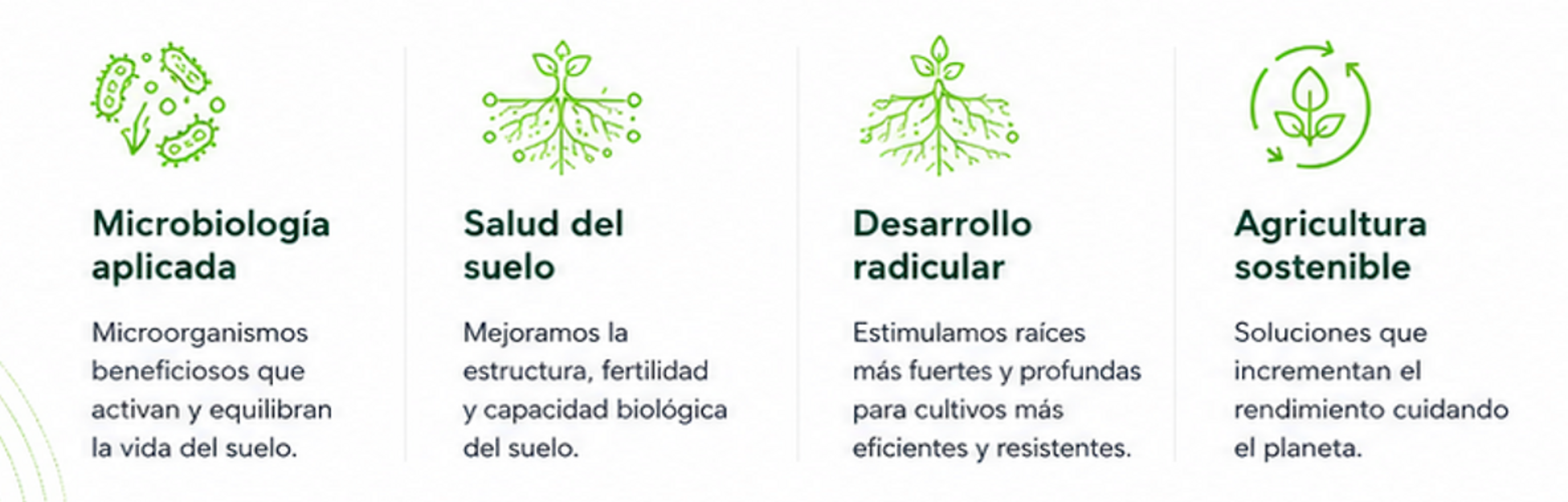 vitantech-cuatro-pilares